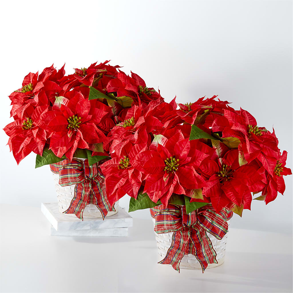 Happiest Holidays Poinsettia Bundle – The Flower House, Eunice LA