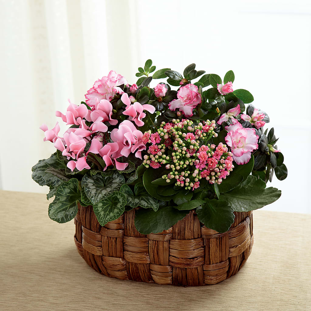 Pink Assortment – The Flower House, Eunice LA