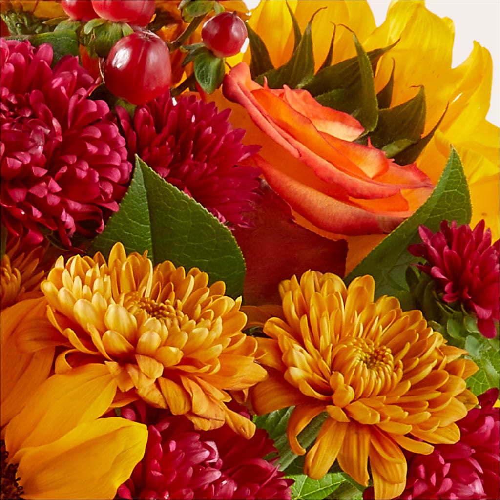 Sweater Season - A Florist Original – The Flower House, Eunice LA