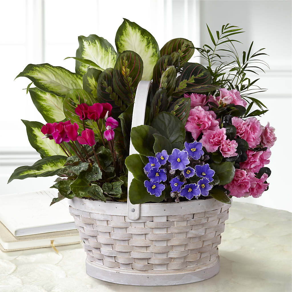 Peaceful Garden Planter – The Flower House, Eunice LA