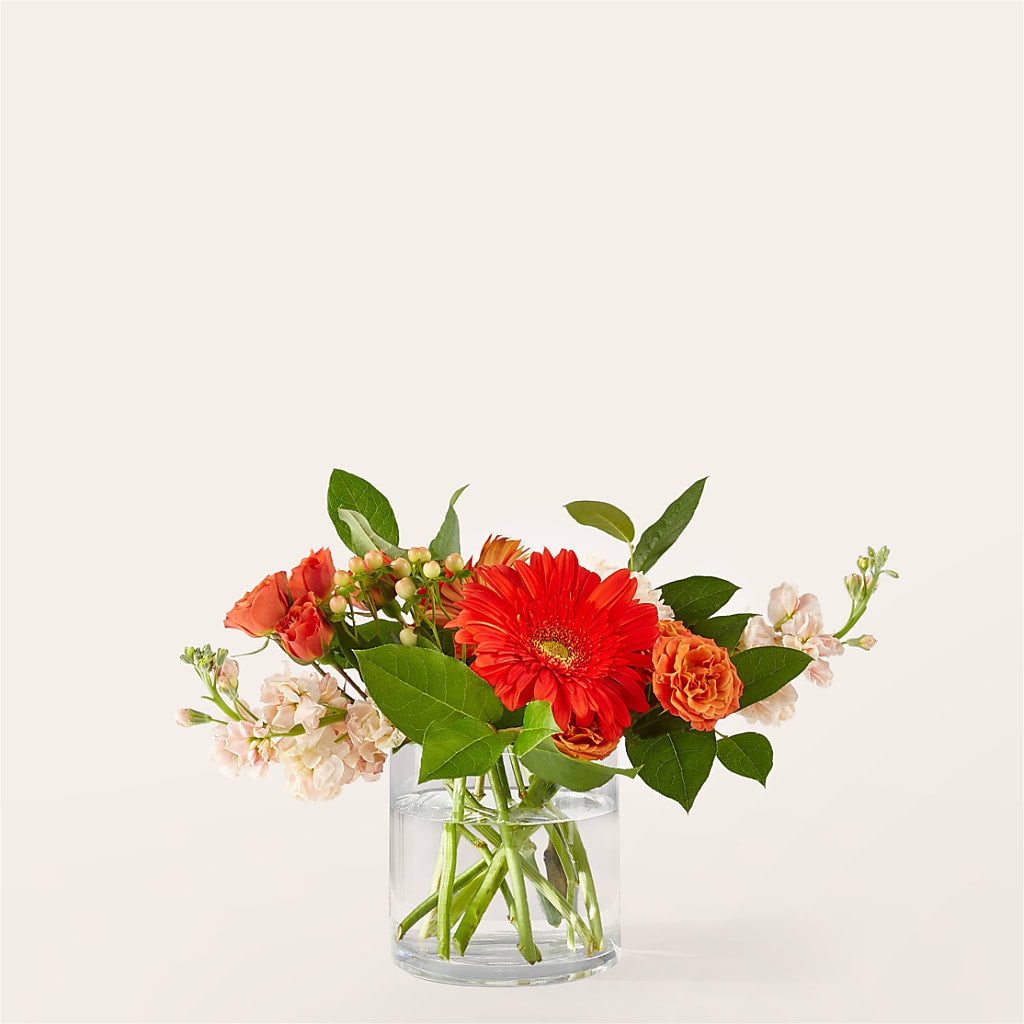 Paloma Please Bouquet – The Flower House, Eunice LA