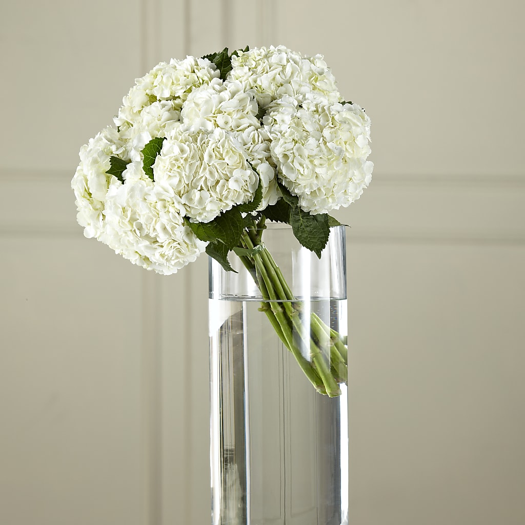 White Hydrangea Hand-Tied Bouquet – The Flower House, Eunice LA