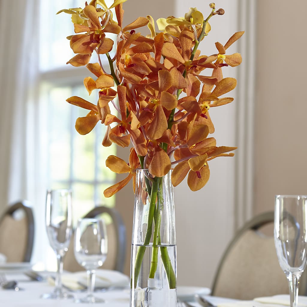 Orange Mokara Bud Vase – The Flower House, Eunice LA