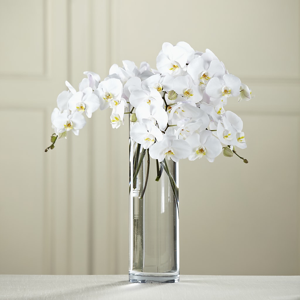 White Phalaenopsis Bouquet – The Flower House, Eunice LA