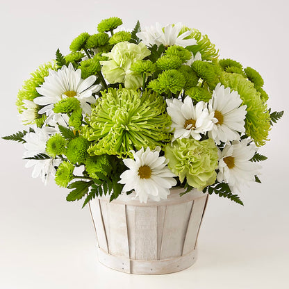 Lucky Charm Basket (Standard) –  The Flower House, Eunice LA