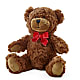 Adorable Plush Bear –  The Flower House, Eunice LA