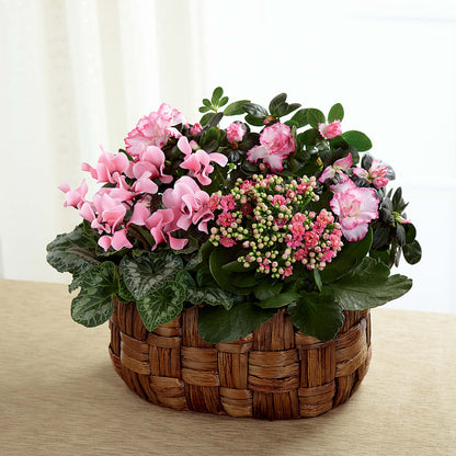 Pink Assortment –  The Flower House, Eunice LA
