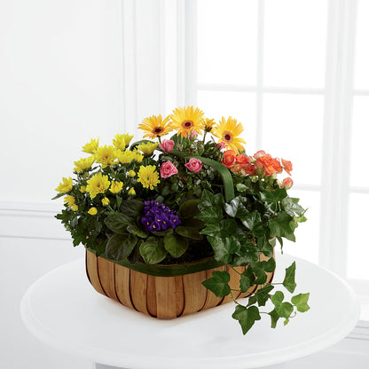 Gentle Blossoms Basket –  The Flower House, Eunice LA