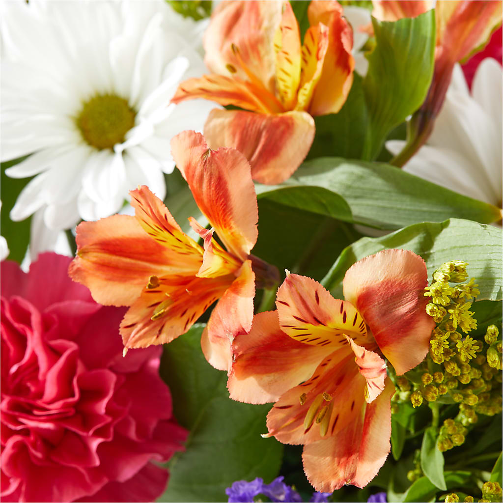 Oopsie Daisy Box Bouquet –  The Flower House, Eunice LA