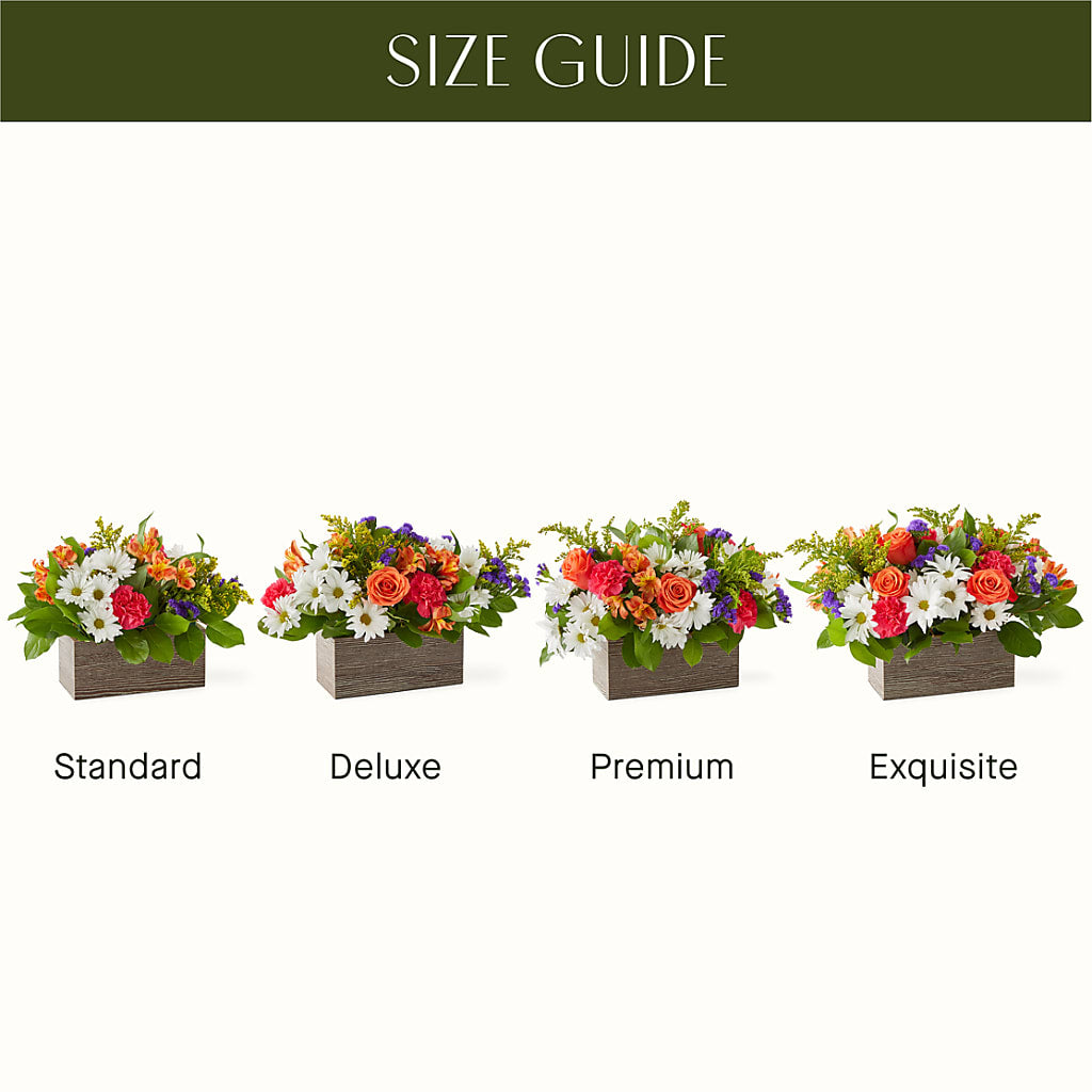 Oopsie Daisy Box Bouquet –  The Flower House, Eunice LA
