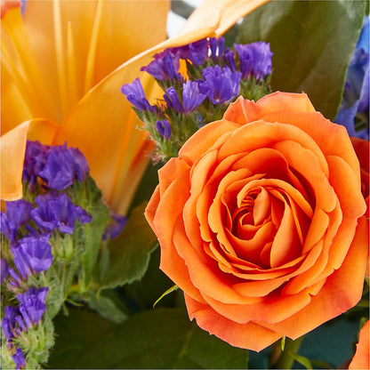 Radiant Citrus Box Bouquet –  The Flower House, Eunice LA