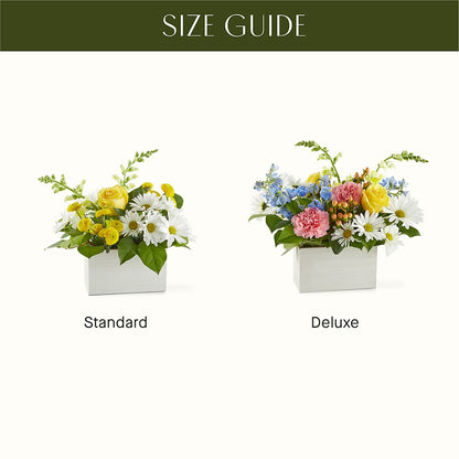 Sun Salutation Box Bouquet –  The Flower House, Eunice LA