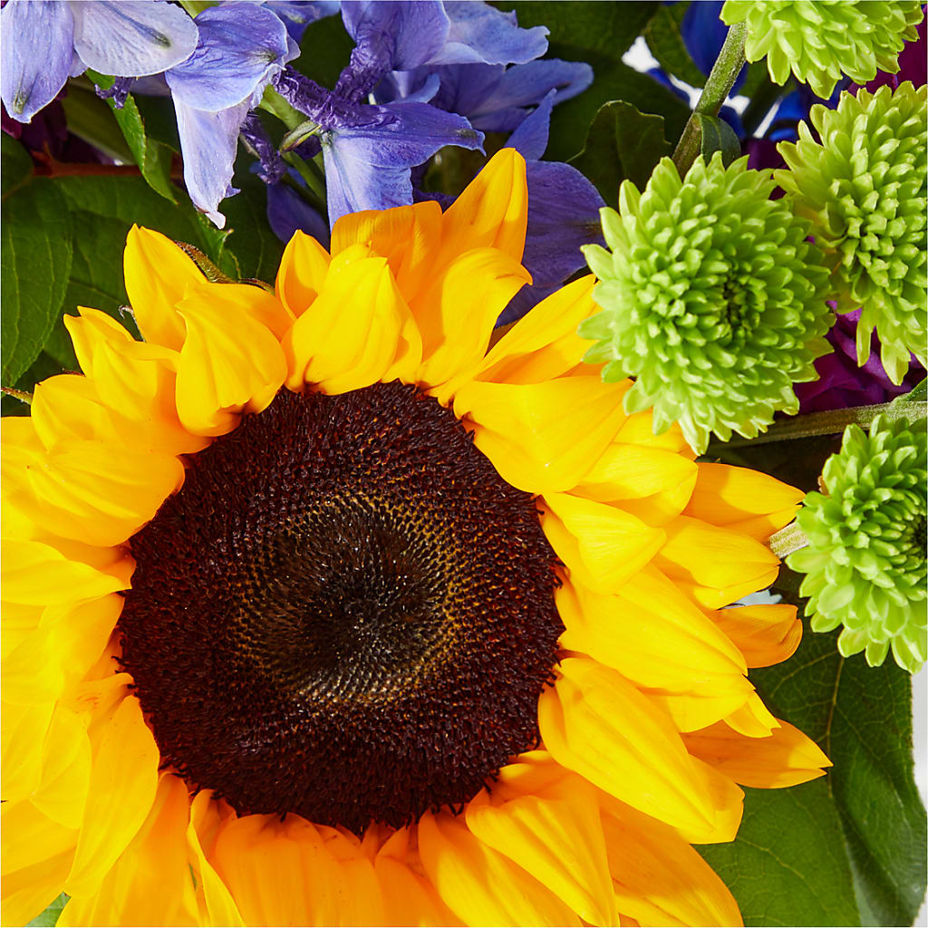 Catching Rays Bouquet –  The Flower House, Eunice LA