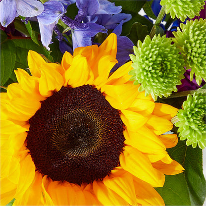 Catching Rays Bouquet –  The Flower House, Eunice LA