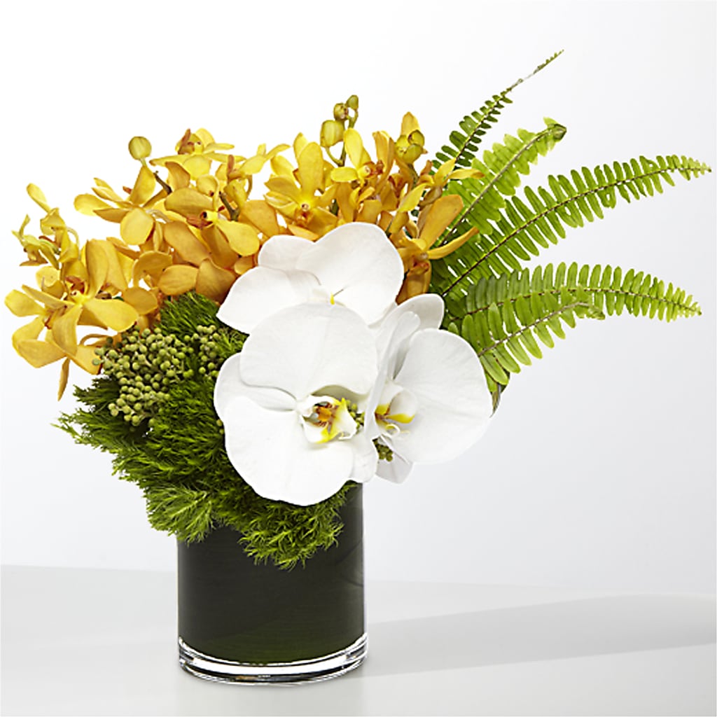 The Tropics –  The Flower House, Eunice LA