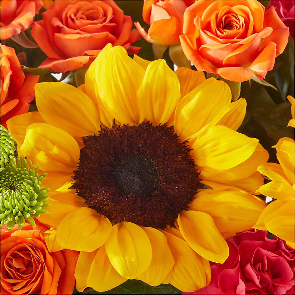 Sun-drenched Blooms Box Bouquet –  The Flower House, Eunice LA