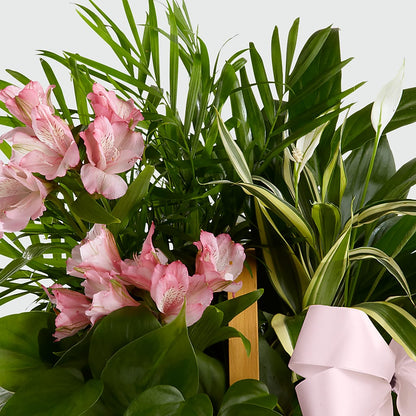 Living Spirit Dishgarden –  The Flower House, Eunice LA