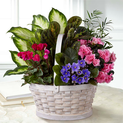Peaceful Garden Planter –  The Flower House, Eunice LA