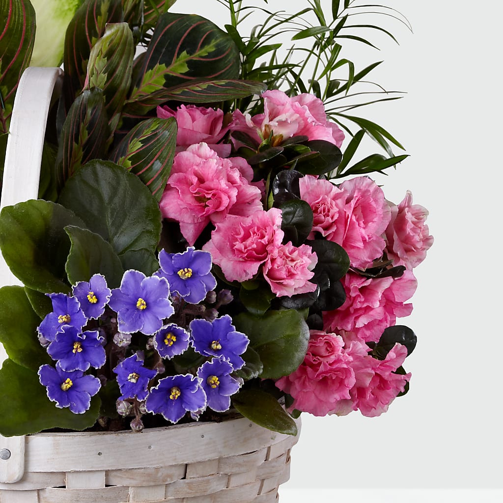 Peaceful Garden Planter –  The Flower House, Eunice LA