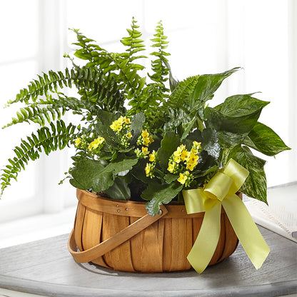 Always Dear Dishgarden –  The Flower House, Eunice LA