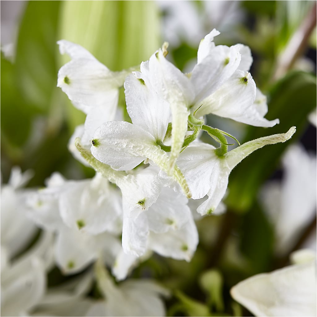 Classic Ivory – A Florist Original –  The Flower House, Eunice LA
