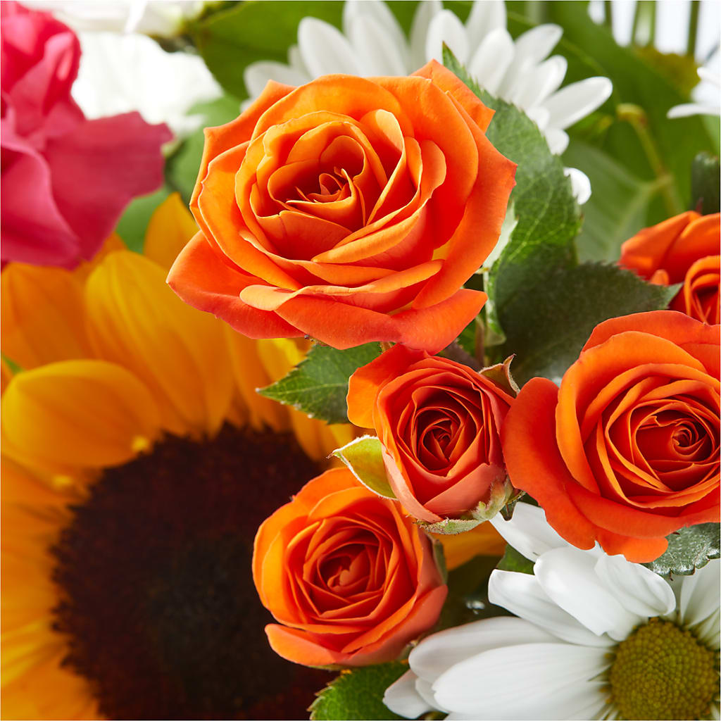 Sun-drenched Blooms Bouquet –  The Flower House, Eunice LA
