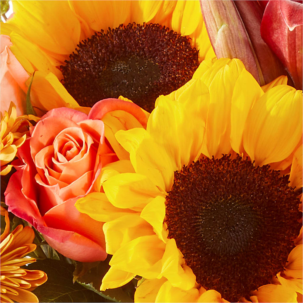Acorn Lane Bouquet –  The Flower House, Eunice LA