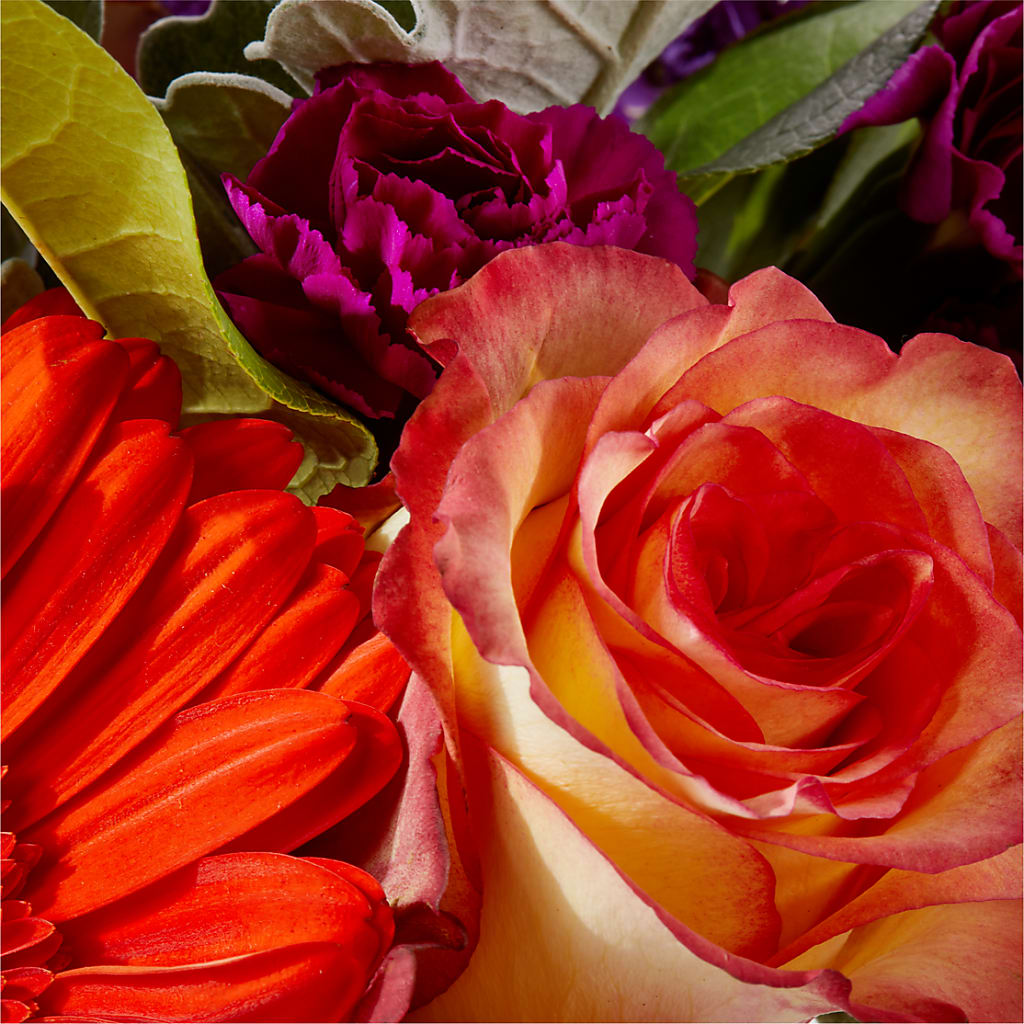 Sangria Bouquet –  The Flower House, Eunice LA