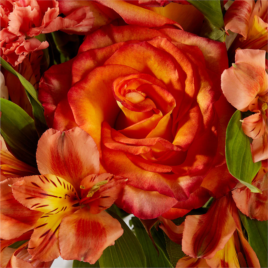 Apricot Glow Bouquet –  The Flower House, Eunice LA