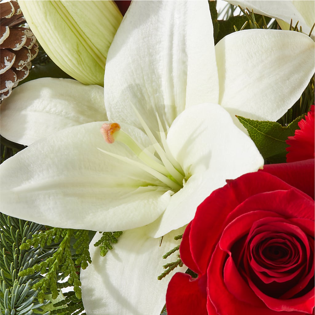 Oh So Jolly Bouquet –  The Flower House, Eunice LA