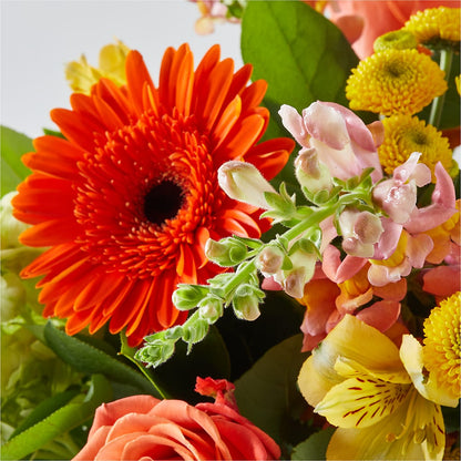 Autumn Sunshine Bouquet –  The Flower House, Eunice LA