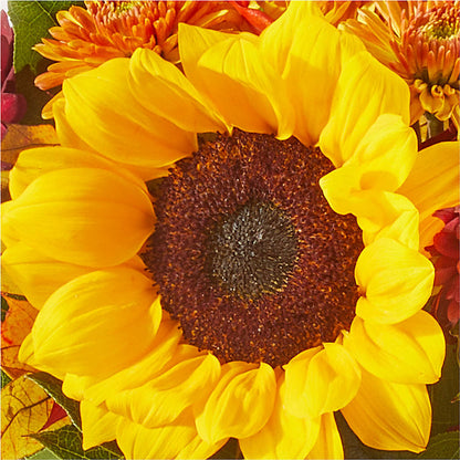 Sunny Side Bouquet –  The Flower House, Eunice LA