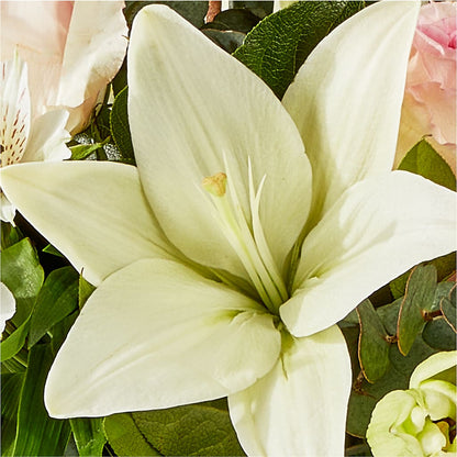 Ballet Slippers Bouquet –  The Flower House, Eunice LA