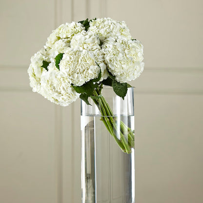 White Hydrangea Hand-Tied Bouquet –  The Flower House, Eunice LA