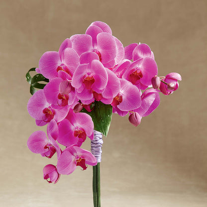 Glorious Bouquet –  The Flower House, Eunice LA