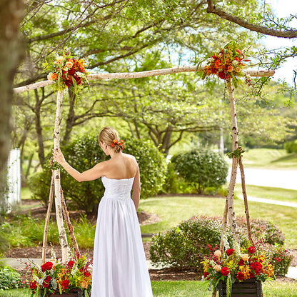 Arbor of Love Archway –  The Flower House, Eunice LA