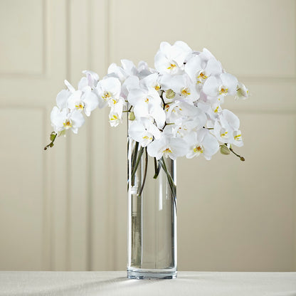 White Phalaenopsis Bouquet –  The Flower House, Eunice LA